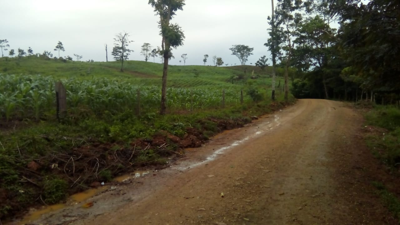siuna